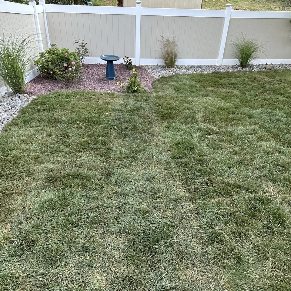 Freshly graded lawn beside a vinyl fence with ornamental grasses and a bird bath