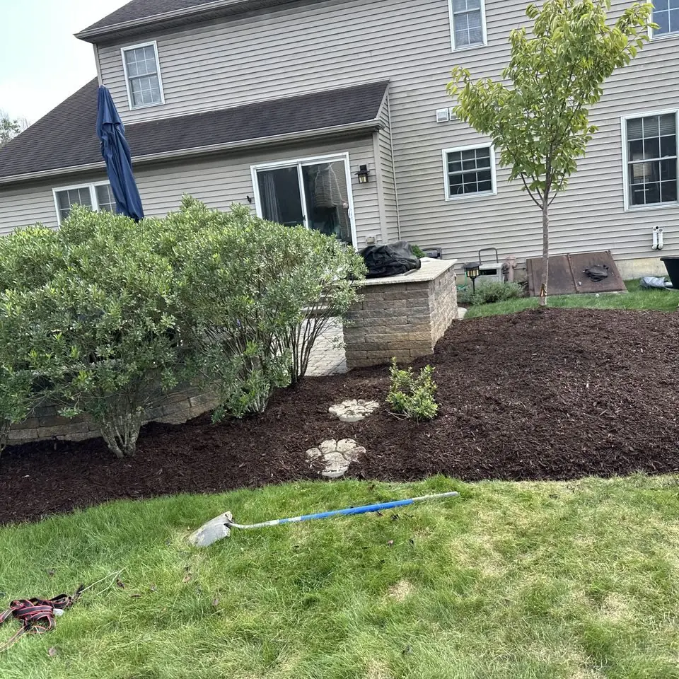Mulched landscape bed with shrubs and a young tree behind a two-story home