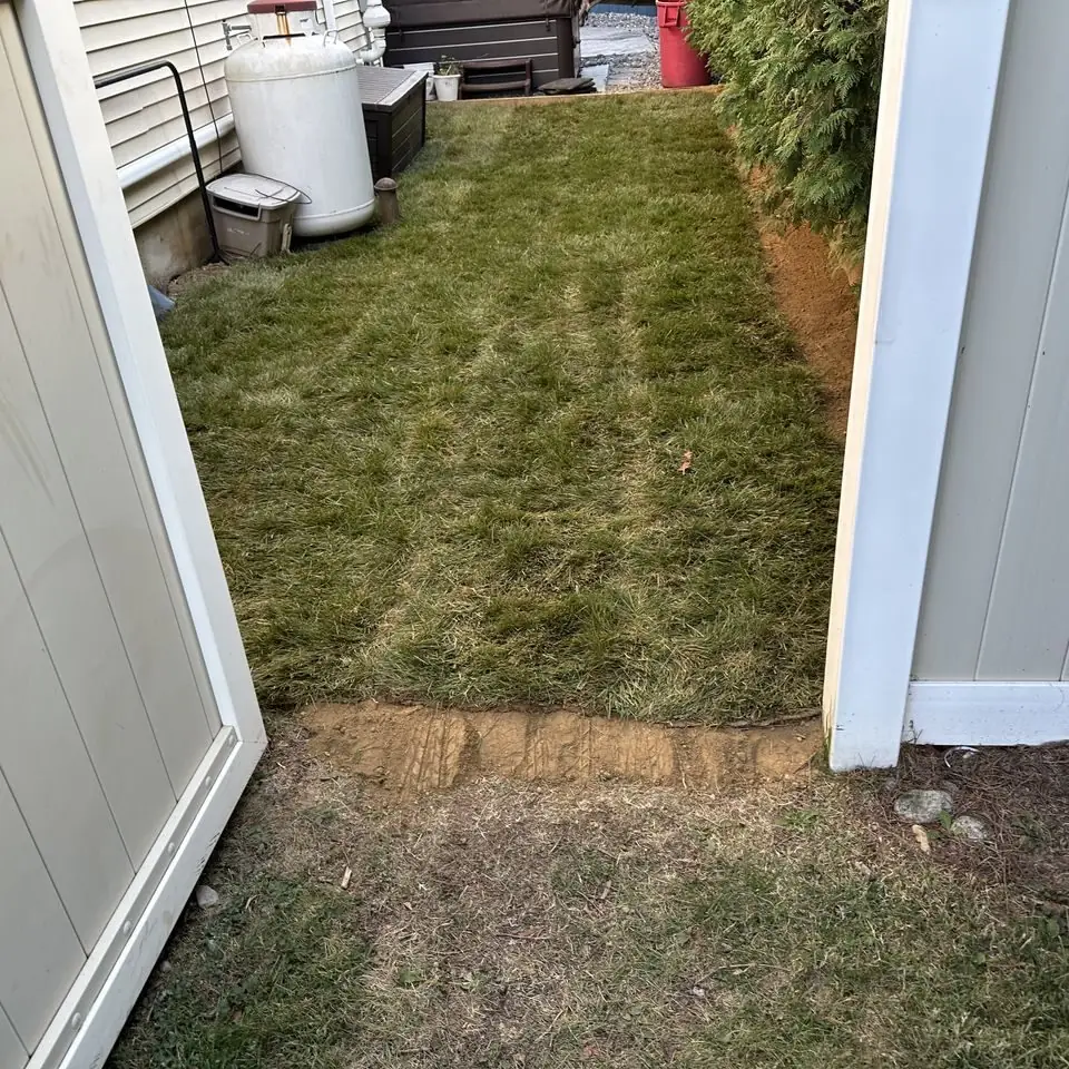 Narrow side yard with new sod between a vinyl fence and the house